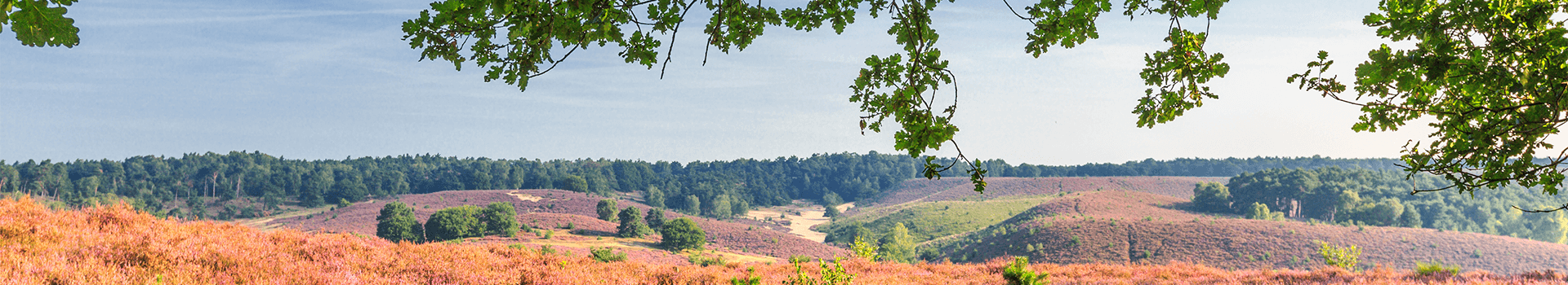 Weekendje Weg Veluwe