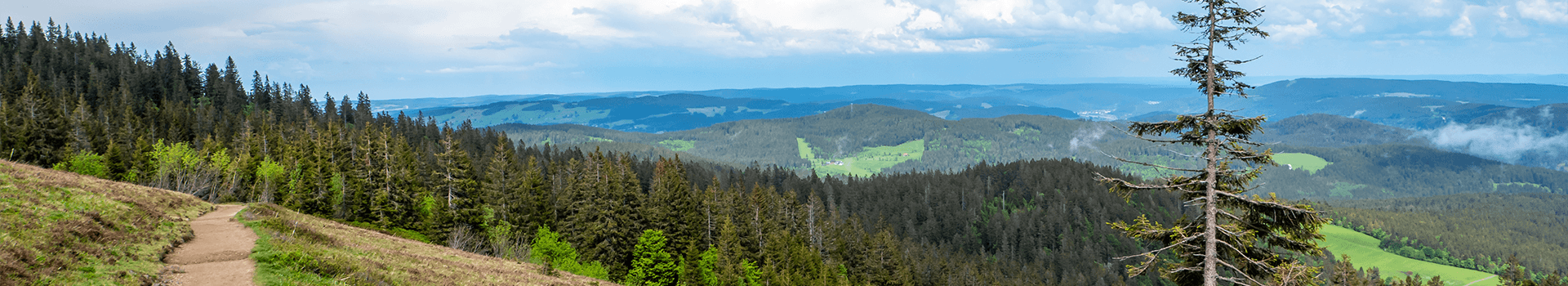 Feldberg header