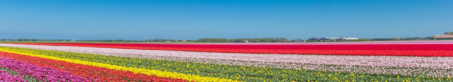 Hotels Zeewolde