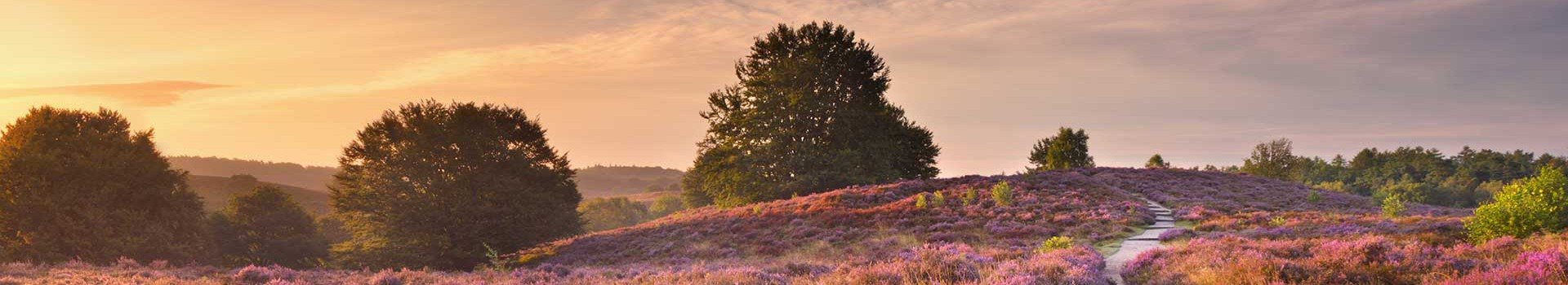 Europarcs Veluwe