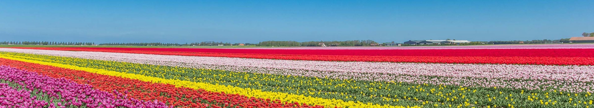 Vakantieparken Flevoland