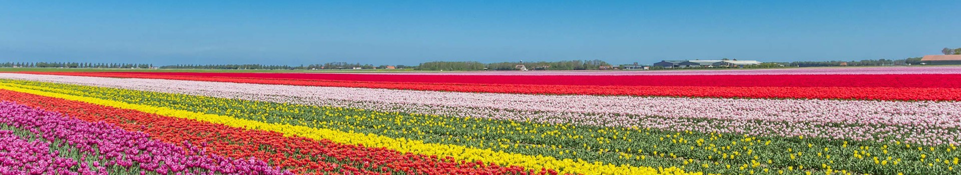 Vakantieparken Biddinghuizen