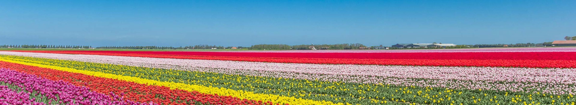 Vakantieparken Zeewolde