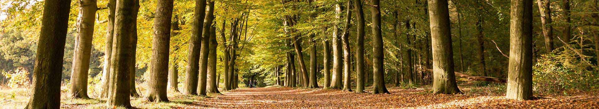 Vakantieparken Zeist