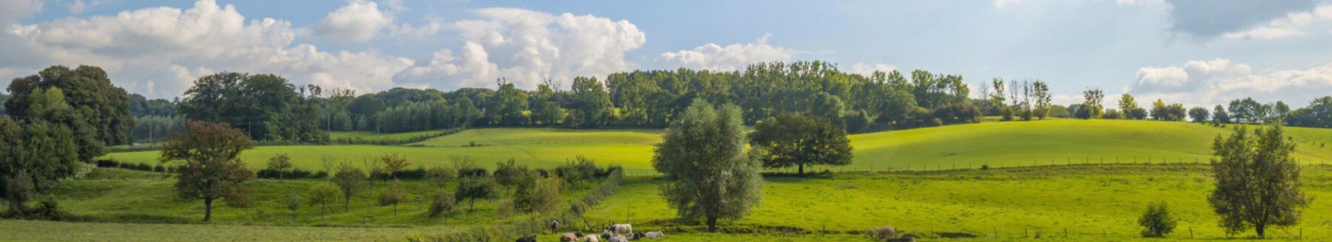 Ferienparks Limburg 