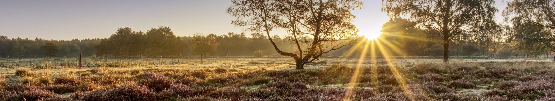 Limburg