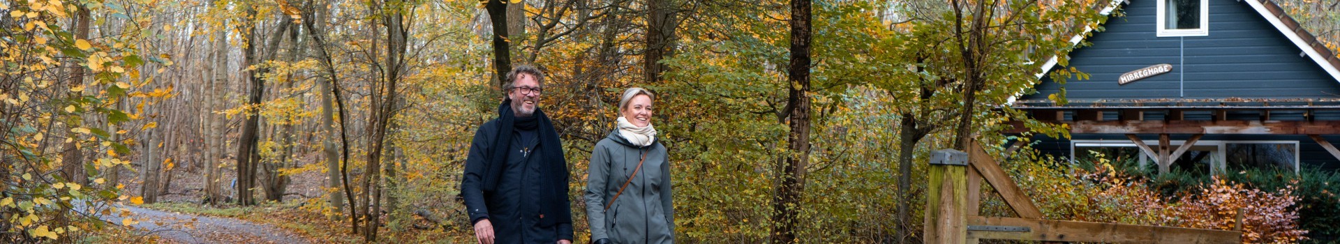 Wandelen in het bos 